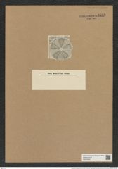 Actinoptychus delicatissimus Witt. (de-Toni-Nr.: Genus 227, Species 5559) Zeichnungen Sammlung Grunow Nr. 9588 (NHMW-BOT-W0379404)